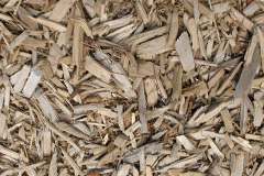 biomass boilers Dorstone